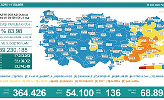 Türkiye'de koronavirüsten 136 kişi daha hayatını kaybetti