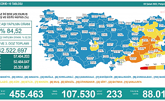 Koronavirüs nedeniyle 233 kişi daha yaşamını yitirdi
