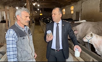 Aygun'dan süt fiyatı tepkisi: Süt üreticisinin infazı gerçekleşti