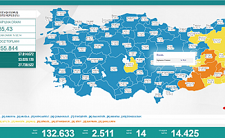 Koronavirüs nedeniyle 14 kişi daha yaşamını yitirdi
