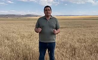 Ulaş Karasu: “TMO'nun buğday teslim tarihini 15 gün ileriye atması gerekmektedir, çiftçilerimiz mağdur olmamalıdır”