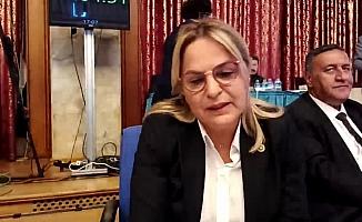 Neslihan Hancıoğlu: 20 yıl önce doğan her bebek 2 bin dolar borçla hayata merhaba diyordu, şimdi her birimizin payına 5 bin 200 dolar borç düşüyor