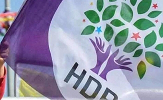HDP, Hazine yardımı alacak