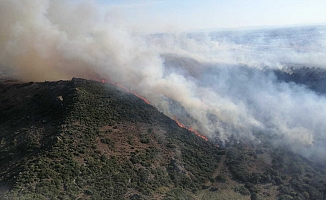 İzmir Menemen'de çıkan orman yangını kontrol altına alındı