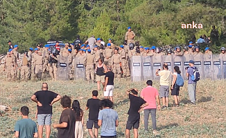 Muğla Valiliği, Akbelen'deki ağaç kesiminin tamamlandığını açıkladı