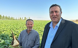 Çiftçi şeker pancarı taban fiyatını bekliyor