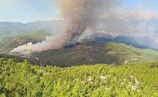 Tarım ve Orman Bakanı Yumaklı: "Alanya'daki orman yangınına 10 uçak, 11 helikopter 54 arazöz 4 İş makinası 363 personel sevk edildi"
