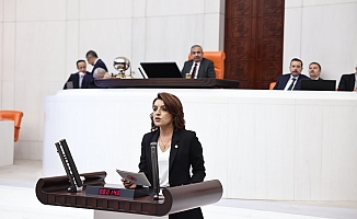 CHP’li Kış sağlıkta şiddeti TBMM gündemine taşıdı