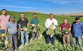 Patates ve Pancarın Ürün Tesliminde Sorun Var