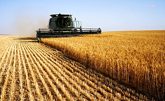 Tarım-ÜFE aylık yüzde 1,13 geriledi