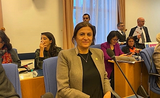 CHP'li Türkan Elçi'den Bakan Göktaş'a; Toplumsal Cinsiyete Dayalı Gelişme Endeksinde Dünyanın Neresindeyiz?00