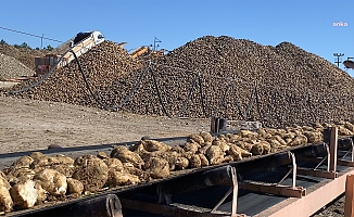 Yozgat'ta pancar hasadını yapan çiftçi, alımlarda yaşanan gecikmeye tepkili