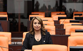 Yıldırım -Kara. İskenderun sahil tabanında sismik ve jeolojik inceleme başlatılacak mı?