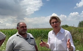 Asu Kaya: "Osmaniye'nin Köylüleri 20 Senede Fakirleştik, Önümüzü Göremez Haldeyiz, 1 Kilo Buğday Satıp 1 Ekmek Alamıyoruz Diyor."
