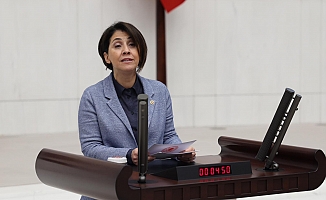 CHP’li Aylin Yaman; Sağlık Yönetimi, Profesyonel Sağlık Yöneticilerine Bırakılmalıdır!