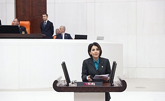 CHP’li Yaman: Tek Sağlık Anlayışı Hayata Geçirilmelidir!