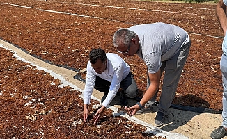 CHP’li Başevirgen’e Dert Yanan Üzüm Üreticisi: "Son Umut Olan Üzümde Maalesef Dün Yağan Yağmurla Birlikte Selin İçinde Kaybolup Gitti, Koca Bir Yılımız Da Gitti”