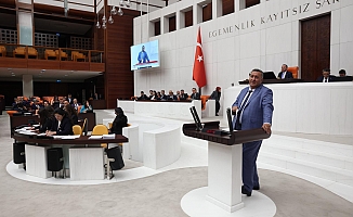 Gürer’den Eleştiri:  “Tarım Arazilerine Zorla El Koymak Çözüm Değil!”