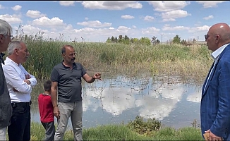CHP’li  Tanal’dan Suruç’taki Taban Suyu Sorunu İçin  Ombudsmanlık’a Şikayet!