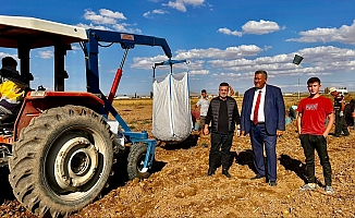 CHP’li Vekil Ömer Fethi Gürer Patates Tarlasından İktidara Çağrı Yaptı. ”Kamu Alıma Girmelidir”