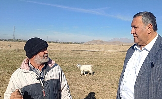Sürü Sahibi: “Oğlum Güder Gelinim Sağarsa Mal Sahibi Olurum”