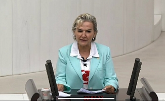 CHP İstanbul Mv. Nimet Özdemir Hayvanların Korunmasına Dair Uygulama Yönetmeliği İle İlgili Sert Eleştirilerde Bulundu!!!