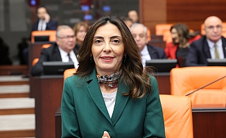 Kayışoğlu’nun Gündeme Getirdiği Ilıpınar Höyüğü’nde Kazı Çalışmalarının Başlaması İçin Umut Işığı Belirdi