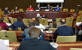 Avrupa Konseyi Sosyalistler, Demokratlar ve Yeşiller Grubu: “Son Tutuklama Dalgası, Türkiye Demokrasisi Açısından Kritik Bir Dönüm Noktası”