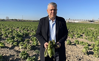 CHP'li Ayhan Barut: "Söz değil icraat bekliyoruz, acil çözüm istiyoruz"