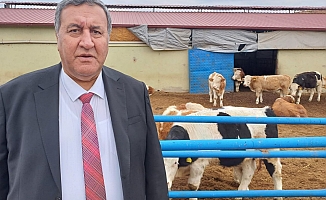 Gürer: “Hayvancılıkta Yaşanan Sorunlar Et Üretimine Yansıyor”