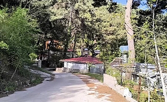 Osmaniye Çona köyü sakinlerinden, yayla evleri için yıkım kararı alınmasına tepki: "Buralar bize atalarımızdan kaldı"
