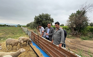 Bekir Başevirgen’e dert yanan besici kurbanlıkları satabilmek için elden taksit, mazot karşılığı veya kredi kartına taksit kampanyası başlattık