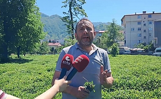 Geçici işçi alımlarında "başvuru tarihinden önceki 6 ay SGK'lı bulunmama" şartına tepki: Demokratik ve adil bir karar değil