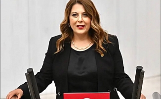 Milletvekili Gezmiş Doğankent Çatalağaç Köyü'nde yaşanan çevre katliamına karşı yetkilileri göreve çağırdı: