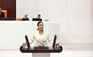 Rızvanoğlu: THK Uçakları Meselesi: “Kullanılmayan Bir İmkân Bilinçli Biçimde Devre Dışı Bırakıldı”