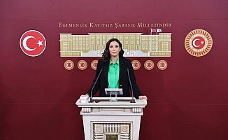 Rızvanoğlu, Kayseri Pınarbaşı’nda orman köylerinin ortasına yapılmak istenen patlayıcı tesis ısrarına tepki " Zamantı Irmağı, Bahçecik Barajı, meralar: bir projeyle hepsi risk altında"
