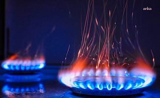 Elektrik ve doğalgaz zammı kapıda: Gözler EPDK ve BOTAŞ'ta