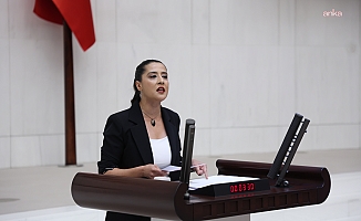 EMEP Gaziantep Milletvekili Sevda Karaca, Gülistan Doku soruşturmasında yaşanan gelişmeleri TBMM gündemine taşıdı
