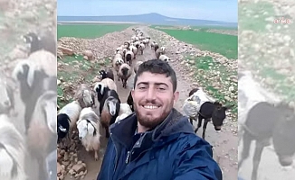 Mardin’de çoban cinayetiyle ilgili yürütülen soruşturmada gözaltına alınan 17 şüpheliden 5'i tutuklandı