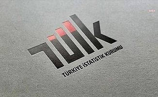 TÜİK: Yurt Dışı Üretici Fiyat Endeksi aylık 3,94, yıllık 35,40 arttı