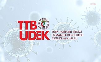 TTB-UDEK'ten Hantavirüs Enfeksiyonu açıklaması: Genel toplum için risk düşük