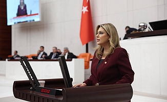 Milletvekili Elvan Işık Gezmiş: Samsun-Sarp Demir Yolu İçin Önerge Verdi