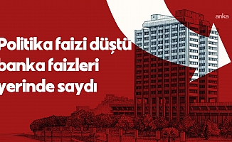 Faizde büyük makas... Prof. Dr. Şenol Babuşcu: "İhtiyaç faizi yüzde 64, mevduat faizi yüzde 43-44"