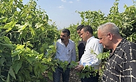 Bekir Başevirgen, Manisa’da üzüm bağlarını ziyaret etti, üreticilerin sorunlarını dinledi