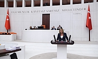 Türkiye Pamuk Ekilen Arazinin Yüzde 21’ini Kaybetti