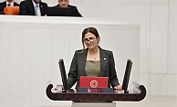 CHP’li Elçi, Narin Güran cinayetine ilişkin, Adalet Bakanı Gürlek'in yanıtlaması istemiyle soru önergesi verdi