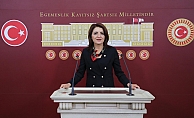 CHP’li Gülcan Kış: “Ev kadınlarını oyalamayı bırakın, haklarını teslim edin”
