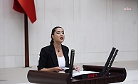 EMEP Gaziantep Milletvekili Sevda Karaca, Gülistan Doku soruşturmasında yaşanan gelişmeleri TBMM gündemine taşıdı