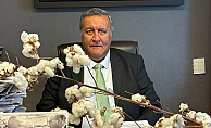 Gürer: "Pamukta tehlike çanları çalıyor"