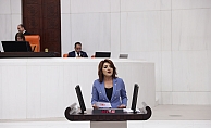 CHP’li Gülcan Kış’tan Bakanlığa tepki: “Veri istedik, nutuk geldi”